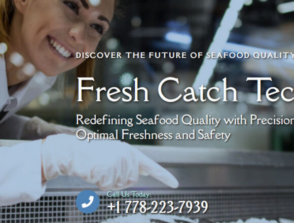 Website Design